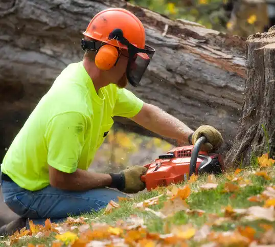 tree services Hickory